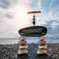 免﻿费﻿语‍音‌识‍别‍方﻿案﻿有‌哪​些﻿